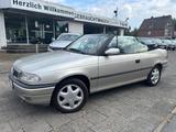 Opel Astra 1.6 Cabrio Bertone Edition Leder/SHZ/TÜV N - Opel Astra: Cabrio, Bertone