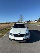 Skoda Octavia 1.8 TSI DSG 4x4 Scout Combi Scout - Skoda Octavia Scout mit Benzin-Antrieb