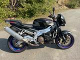 Aprilia Tuono 1000R - Angebote