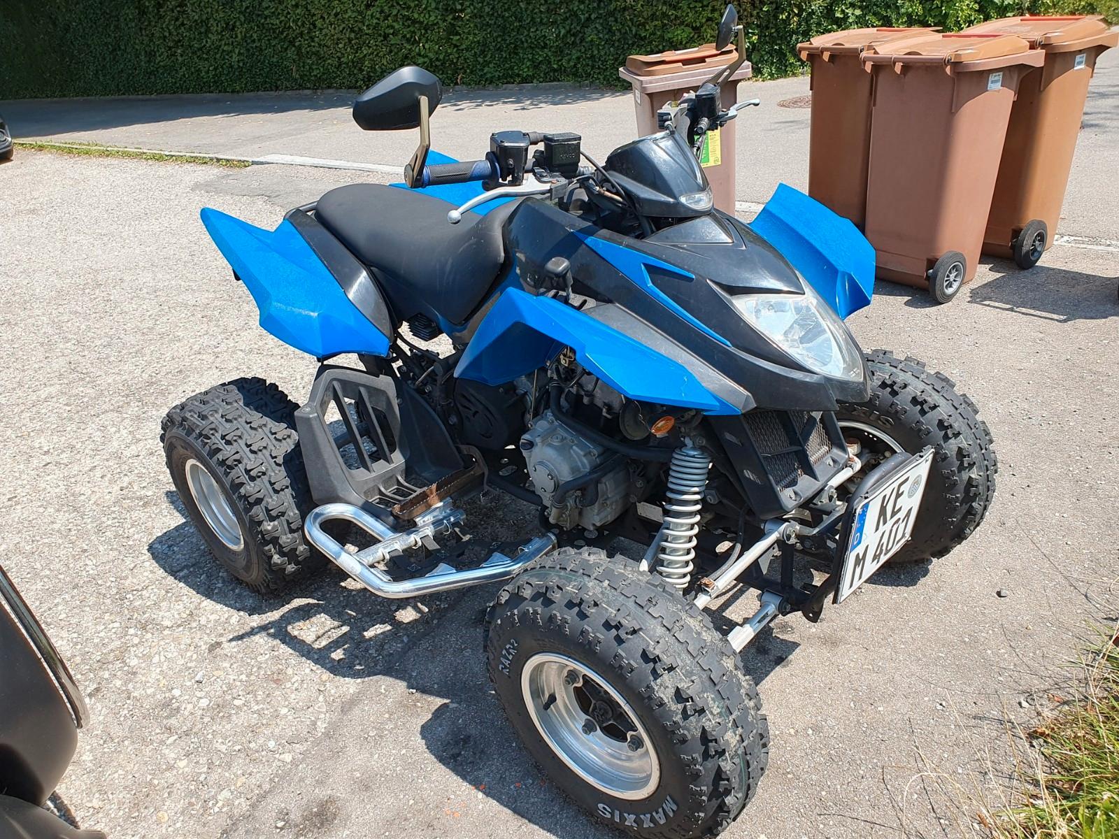 Arctic Cat 300 2011 — rear view
