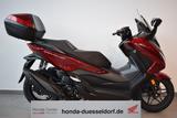 Honda Forza 350 Topcase Modell 2025 *Neu * 0KM *