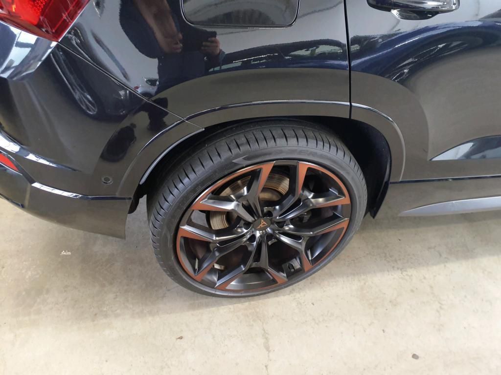 Cupra Ateca Limited Edition 2.0 TSI Pano*Tempo*PDC*RFK