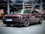 Dodge Challenger R/T 6,4 Scat Pack 392 HEMI Shaker Tüv - Dodge Challenger: 392