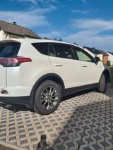 Toyota RAV 4 2,5-l-Hybrid Executive Auto 4x2 Executive - Toyota RAV 4 in Bonn
