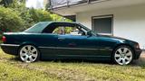 BMW 328i A Cabrio e36 Scheckheft/Vollaus - BMW 328 aus 1996: Cabrio