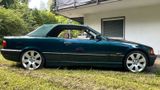 BMW 328i A Cabrio e36 Scheckheft/Vollaus - BMW 328: E36 328i