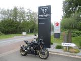 Triumph Trident 800 - MY26 *Sofort Verfügbar*115PS*Navi - Triumph Trident 800