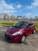 Ford In sehr gutem Zustand , Unfallfrei, klimaa... - Ford Ka/Ka+ in Mannheim