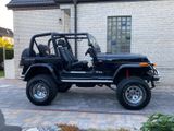 Jeep Wrangler 4.0 Sport Sport - Jeep Wrangler aus 1996