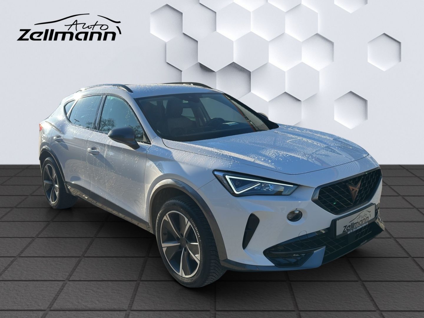 Formentor Basis 1.5TSI 110kW 6-Gang AHZV,LED, GJ