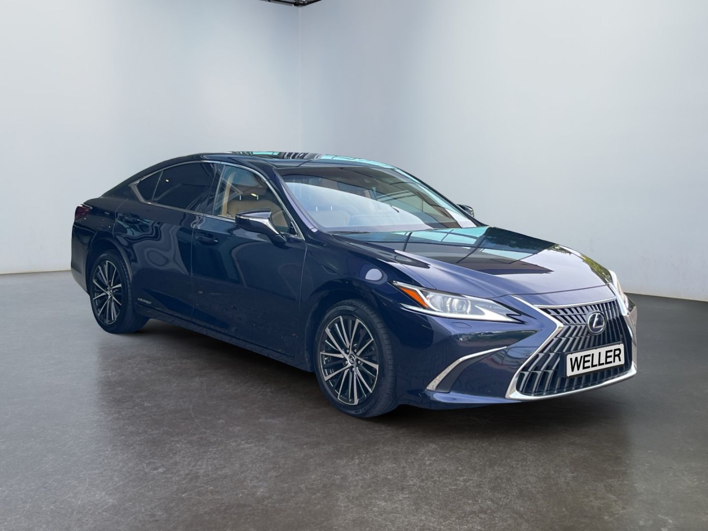 Lexus ES 300 h Business Line *Bi-LED*ACC*PDC*CAM*GSD*N imagem 3