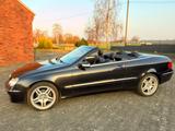 Mercedes-Benz Mercedes Benz CLK 280 ( W209) Cabrio AVANT... - Mercedes-Benz: W209