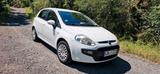 Fiat Punto evo - Fiat Punto Evo von privat