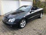 Mercedes-Benz CLK 320 AVANTGARDE Avantgarde W209 MB-SH TOP - Mercedes-Benz CLK w209