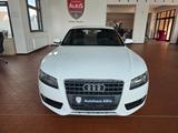 Audi A5 Sportback 2.0 TDI+S-Line+NAVI+Tempomat - Audi A5: Weiß, Sportback
