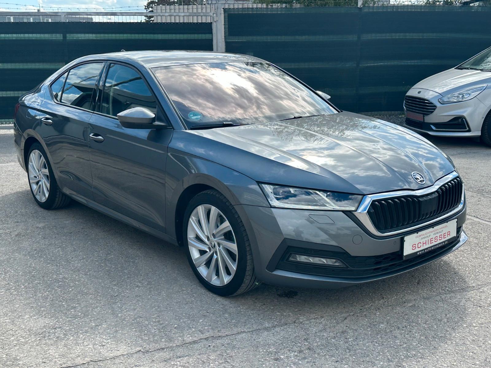 Skoda Octavia 2,0 TDI 4x4 DSG Leder Navi Kamera 4xSitz