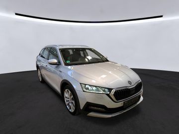 Skoda Octavia - 2