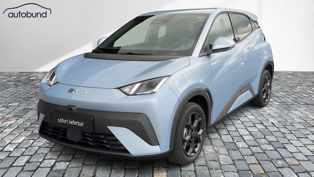 Image of BYD DOLPHIN SURF