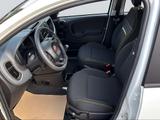 Fiat Panda 1.0 Pandina - Fiat Panda in Wiesbaden