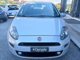 Fiat FIAT Punto Evo 1.2 8V 5 porte Lounge - gebrauchte Fiat Punto aus dem Jahr 2013