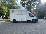 Peugeot 2 Pferdetransporter - Tier- & Pferdetransport für 2 Pferde