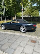 Jaguar XK 8 - Jaguar in Bonn