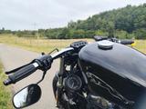 Harley-Davidson 48 Sportster Xl1200x - HARLEY-DAVIDSON SPORTSTER XL