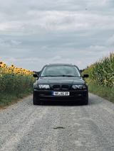 BMW E46 318i Sportfahrwerk mit 8 Alufelgen... - BMW 318 aus 2000: 318i