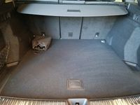 Audi Q5 - Vorschau Bild 18