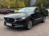 Mazda CX-30 2.0 M Hybrid Exclusive-line Leder *Klimaau - Mazda CX-30 in Wuppertal