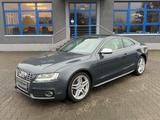 Audi S5 - Audi S5 mit Benzin-Antrieb: Leder, Sportwagen