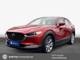 Mazda CX-30 2.0 M HYBRID DRIVE SELECTION Premium-P. - Mazda CX-30 in Dresden
