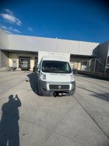 Fiat Ducato verkaufswagen - : Verkaufswagen