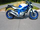 Suzuki Gladius 650 - SUZUKI GLADIUS 650