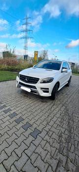 Mercedes-Benz Mercedes benz  ML 350 - : Mercedes Ml