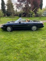 Alfa Romeo Spider 115 (Serie 5) - Alfa Romeo Oldtimer