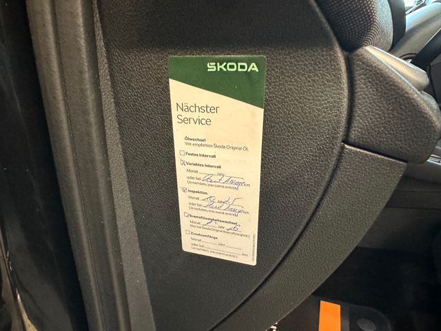 MYAUTOCENTER – Gebraucht- und Jahreswagen mit Werkstattservice in Pfaffenhofen Skoda Octavia Combi First Edition iV *Massage*Canton*