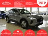 Ford Kuga 1,5 186PS Aut.Kamera/LED/Navi/Winterp. - Ford Kuga in Braunschweig
