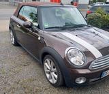 MINI Mini Cabrio - MINI Cooper in Osnabrück