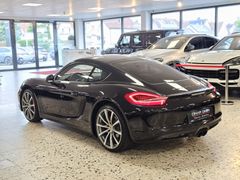 Fahrzeugabbildung Porsche Cayman (20"ZOLL/SPORTABGAS/SHZ/PDC/BI-XENON/PDLS