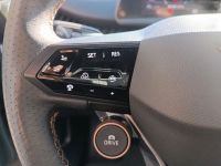 Cupra Tavascan - Vorschau Bild 13