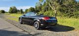 Ford Focus CC 1,6 Trend Trend - Ford Focus aus 2009: Cabrio