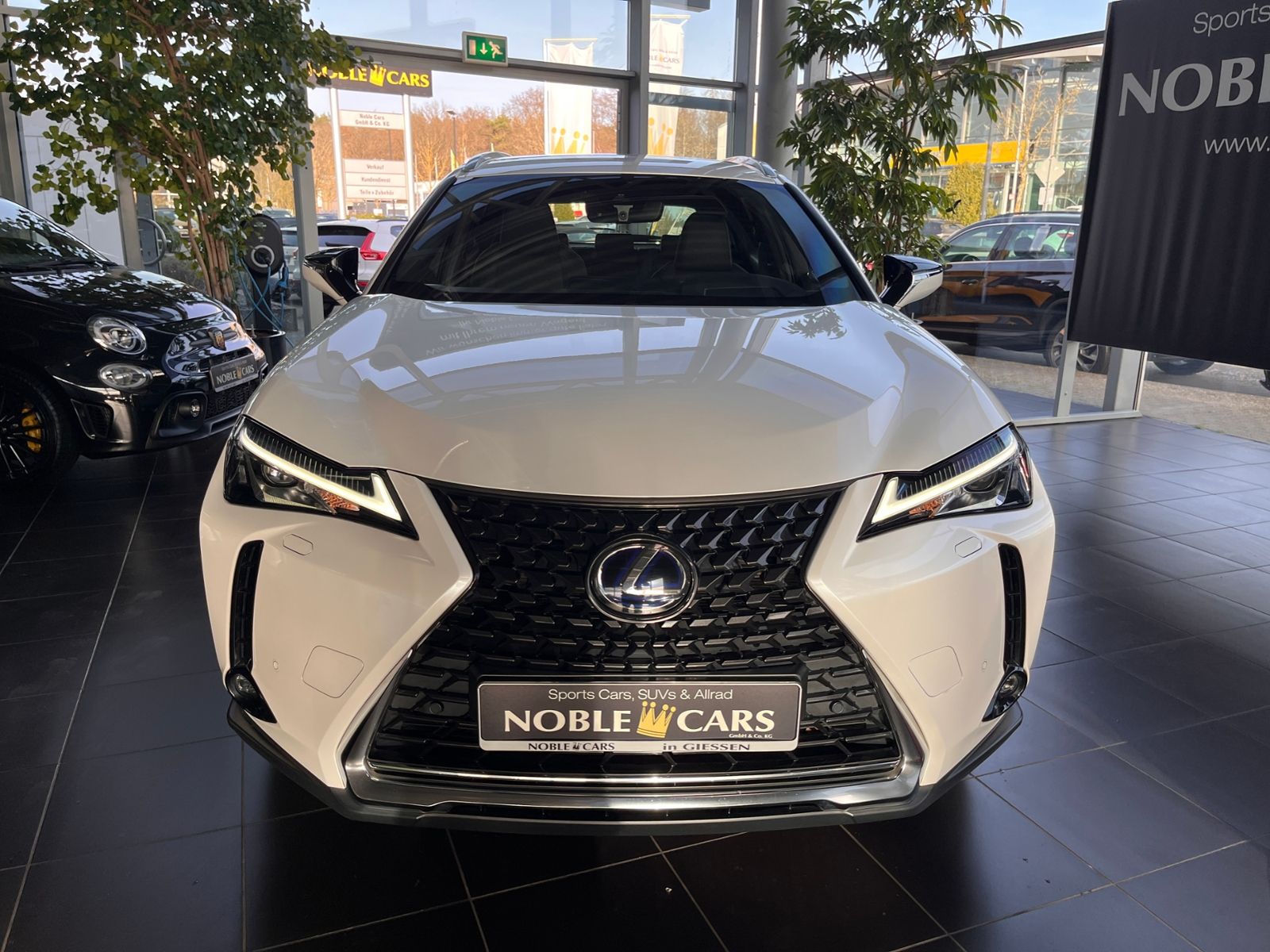 Fahrzeugabbildung Lexus UX 250 h Launch Edition LED NAV SHZ RFK