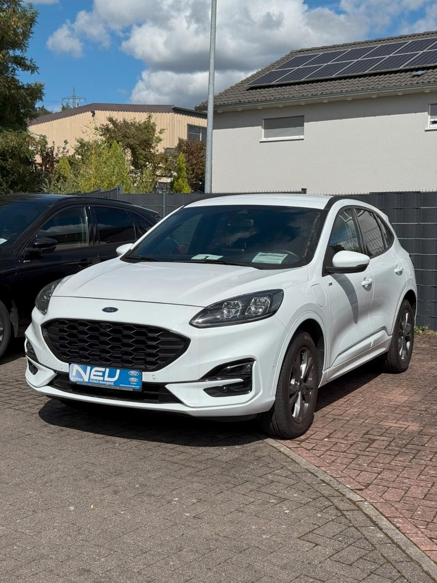 Ford Kuga PHEV   ST-Line X   Nr.  10878