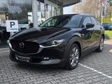 Mazda CX-30 2.5 Takumi - Mazda CX-30 mit Benzin-Antrieb: Takumi