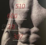 Alfa Romeo Giulia Quadrifoglio 2.9 V6 Bi-Turbo 375 kW Q...