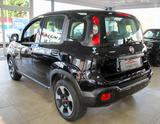 Fiat Panda City Plus 1.0 Klima Radio 1.Hand TÜV neu - Fiat Panda Gebrauchtwagen in Düsseldorf