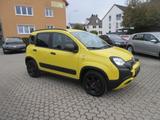 Fiat Panda Waze Cross 1.2 *Sehr gepflegt* - Fiat Panda Waze mit Benzin-Antrieb