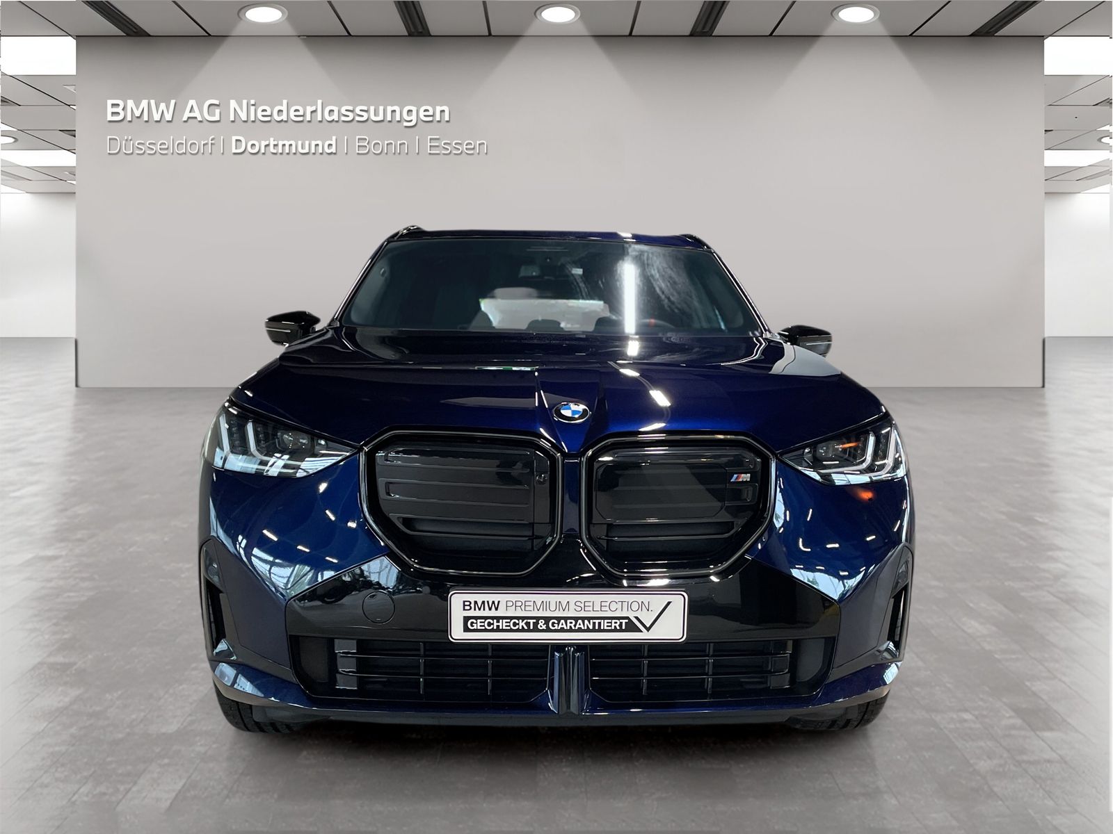 BMW X3 M50 - Bild 8