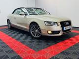 Audi A5 Cabriolet 3.0 TDI quattro - Audi A5: Cabrio, 3.0